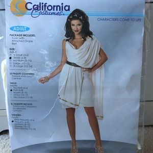 Women’s Deluxe Classic Toga Costume